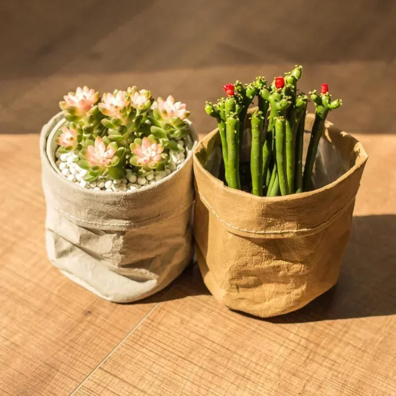 Panier à plante en kraft lavable – Cache-pot déco et écologique pour plantes d’intérieur