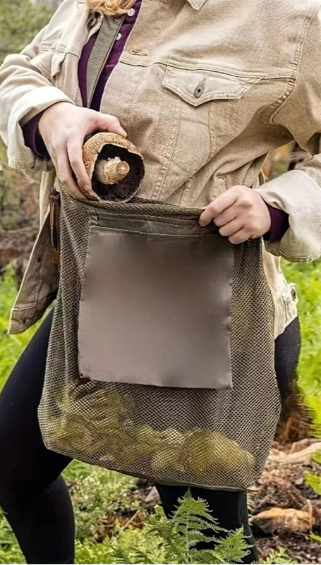 Panier à champignons léger – Cueillette en forêt et balades nature
