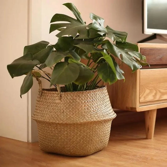Panier cache pot  en fibre végétale