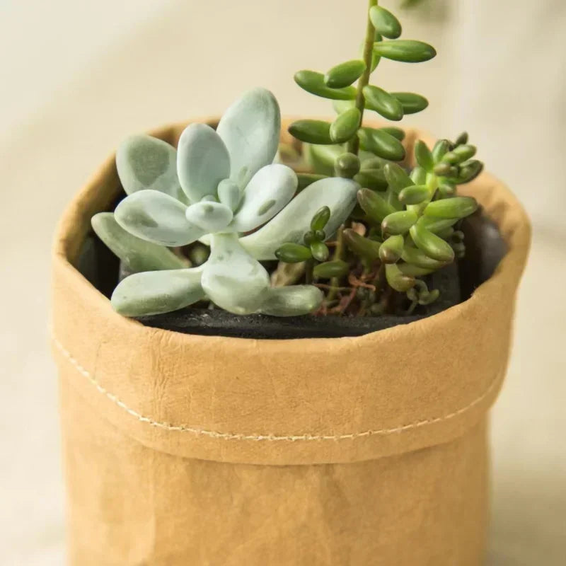 Panier à plante en kraft lavable – Cache-pot déco et écologique pour plantes d’intérieur