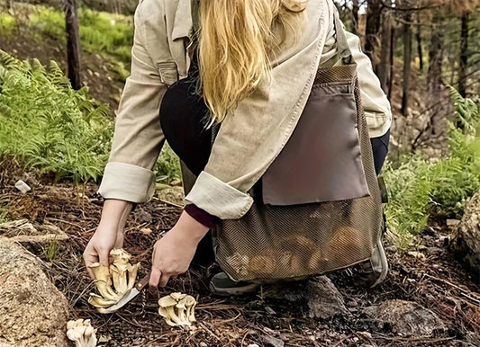 Panier à champignons léger – Cueillette en forêt et balades nature