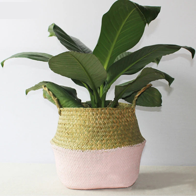 Panier pliable en jacinthe d'eau tressé | Cache Pot
