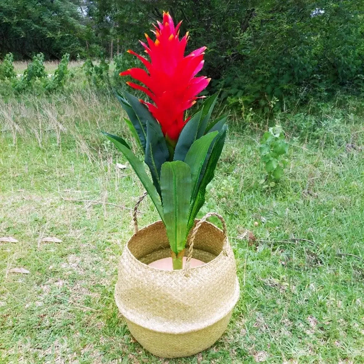 Panier cache pot  en fibre végétale