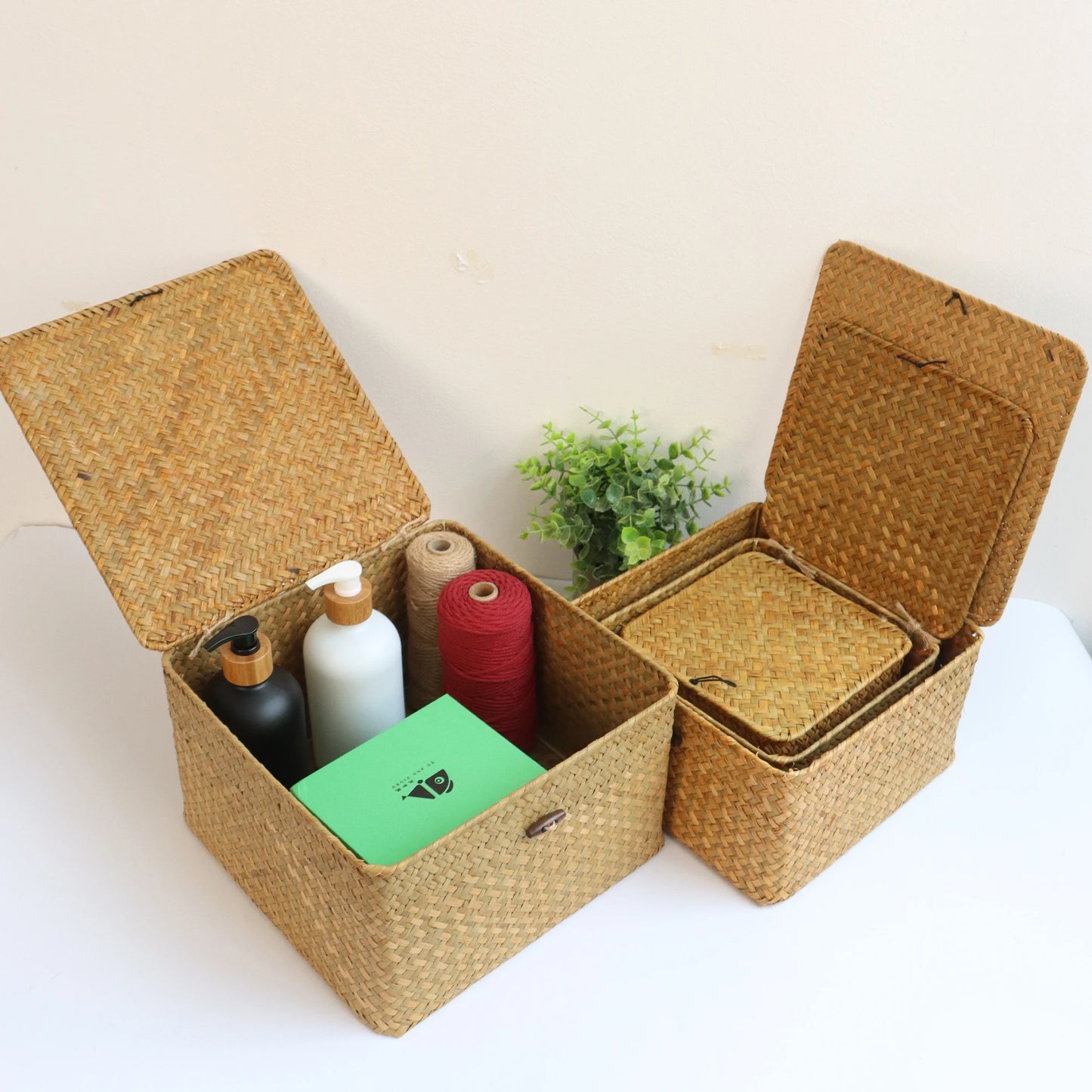 Lot de paniers de rangement en jacinthe de mer avec couvercles – 4 boîtes décoratives naturelles