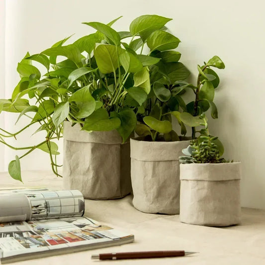 Panier à plante en kraft lavable – Cache-pot déco et écologique pour plantes d’intérieur